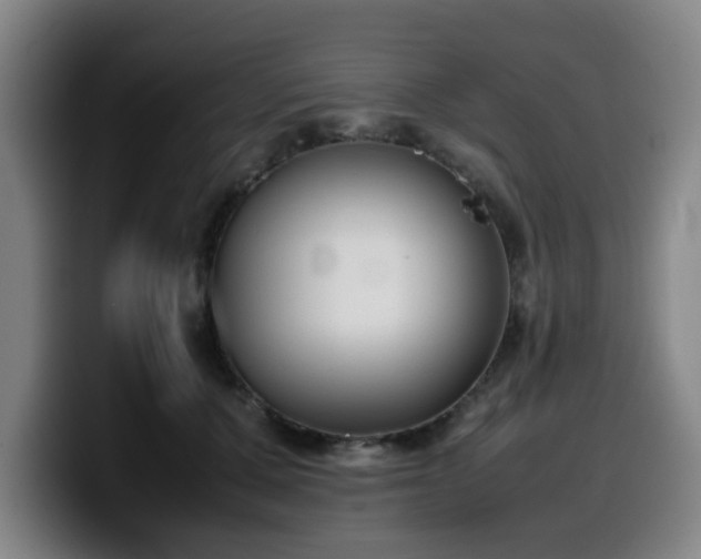 X0000099940607200805301218