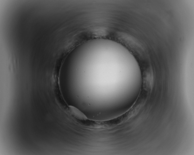 X0000099940608200805301218