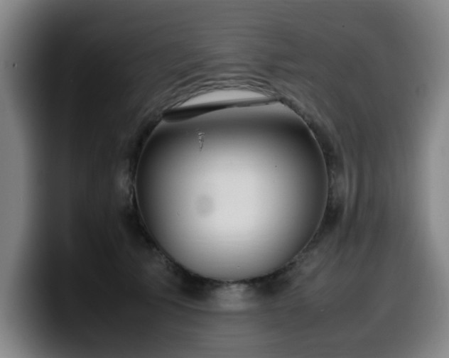 X0000099940609200805301218