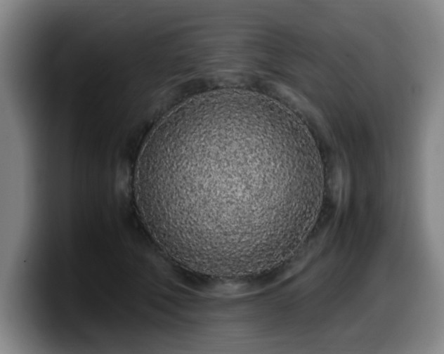 X0000099940610200805301218