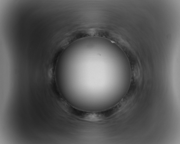 X0000099940611200805301218