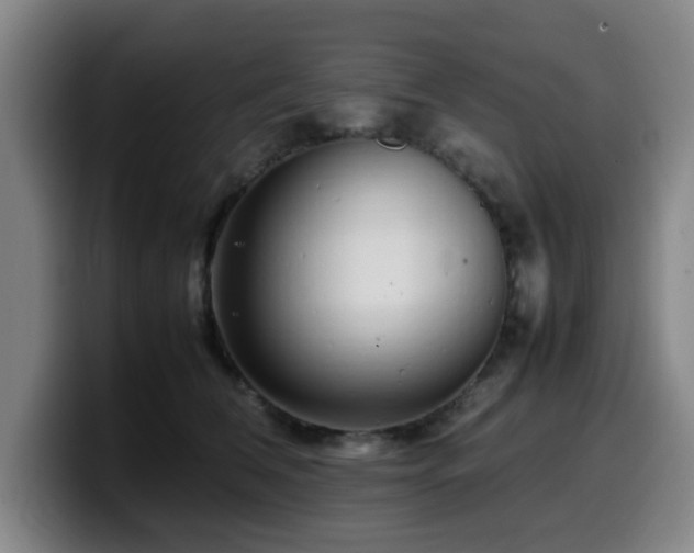 X0000099940612200805301218