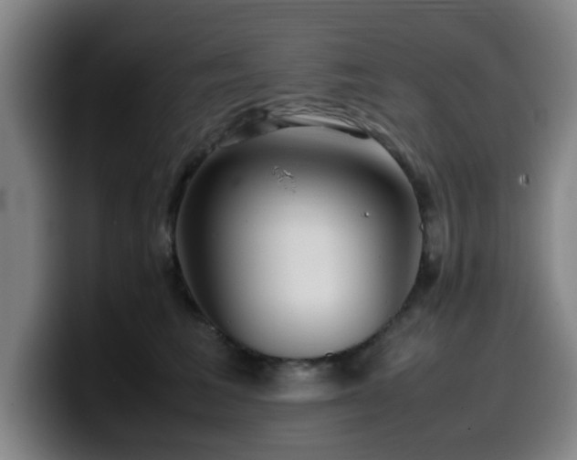 X0000099940613200805301218