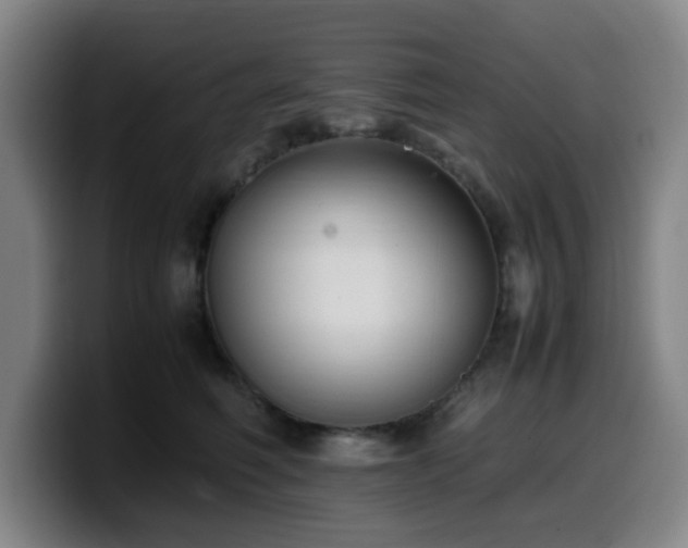 X0000099940614200805301218