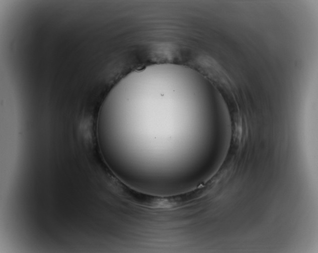 X0000099940616200805301218