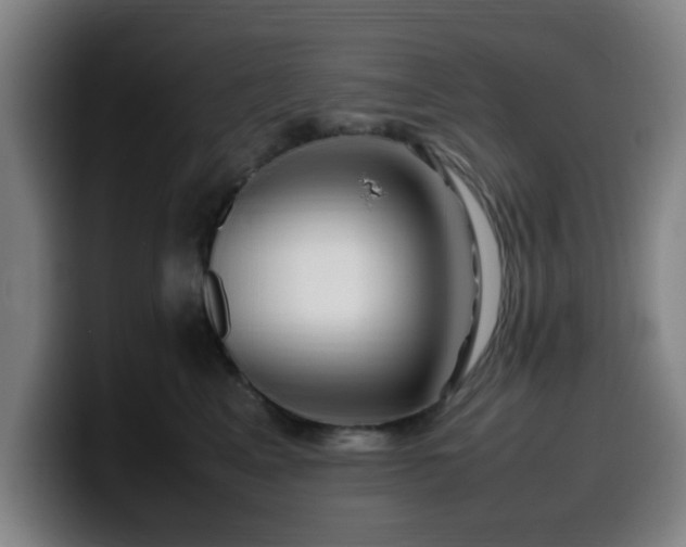 X0000099940617200805301218