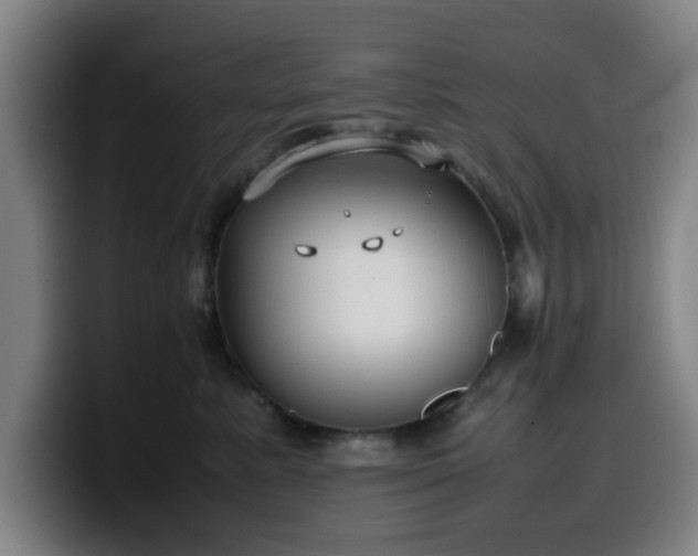 X0000099940619200805301218