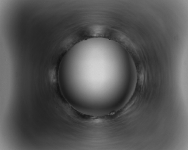 X0000099940620200805301218
