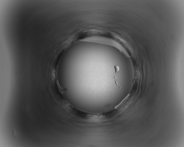 X0000099940621200805301218