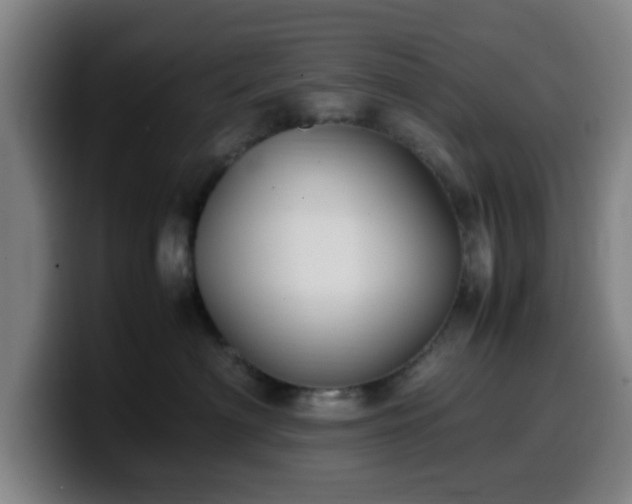 X0000099940622200805301218