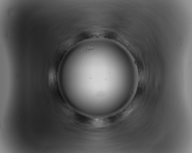 X0000099940623200805301218