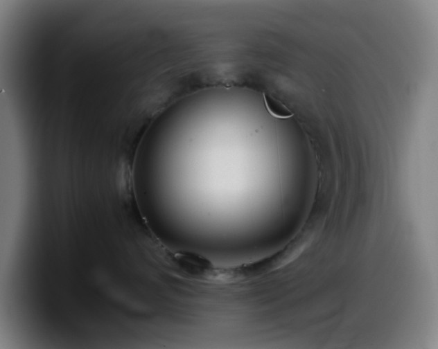 X0000099940624200805301218