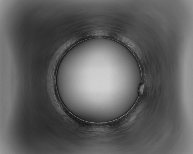 X0000099940625200805301218