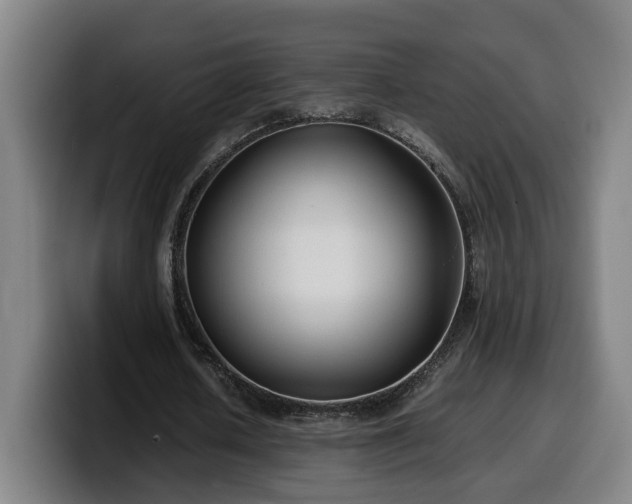 X0000099940626200805301218
