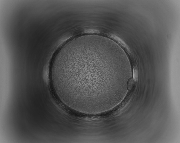 X0000099940627200805301218