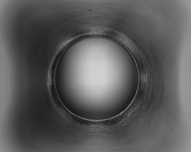 X0000099940628200805301218