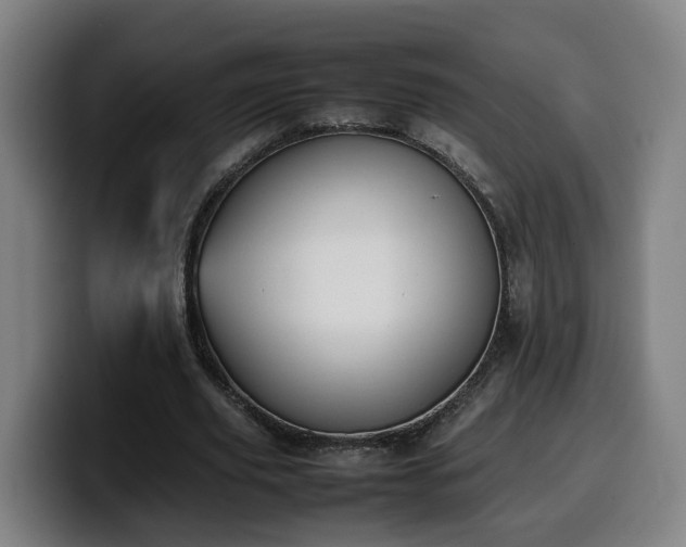 X0000099940629200805301218