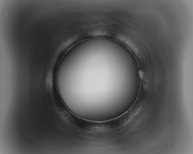 X0000099940631200805301218