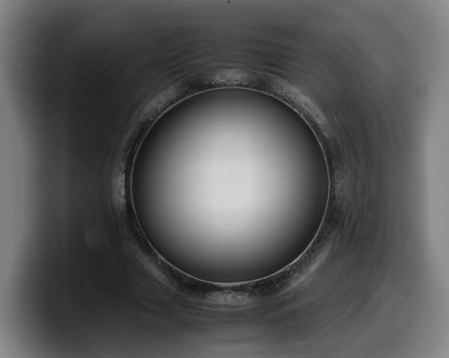 X0000099940633200805301218