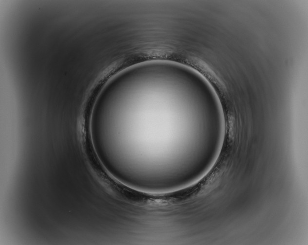 X0000099940634200805301218