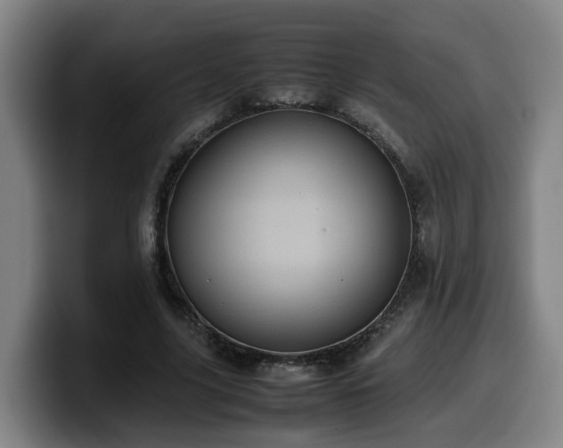 X0000099940635200805301218
