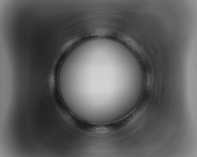 X0000099940636200805301218