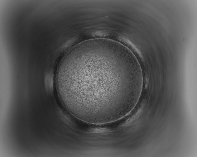 X0000099940637200805301218