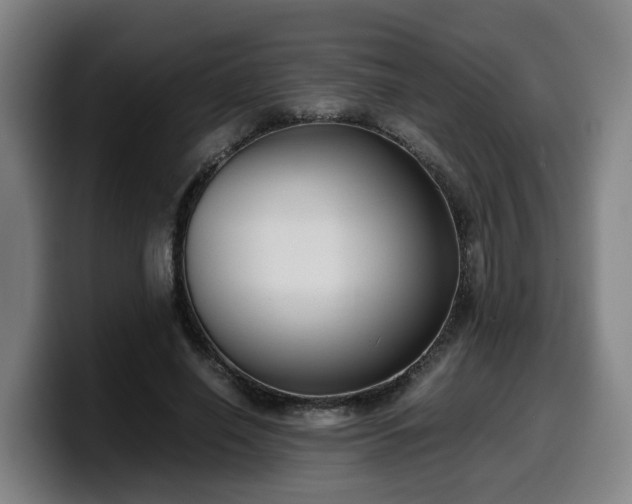 X0000099940638200805301218