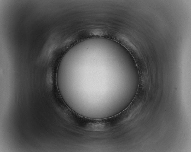 X0000099940639200805301218