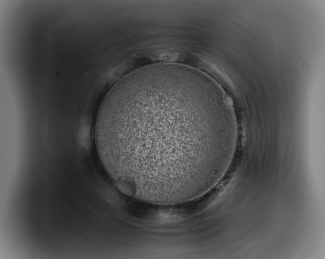X0000099940641200805301218
