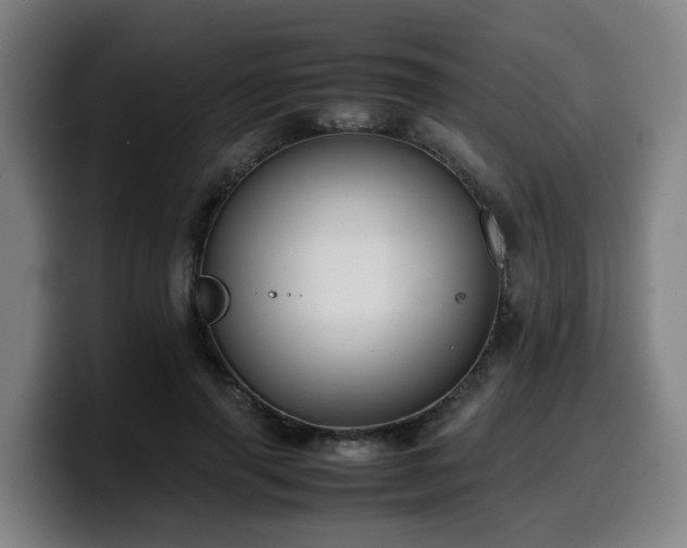 X0000099940645200805301218