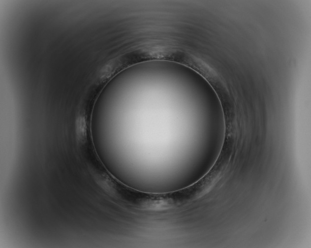 X0000099940646200805301218