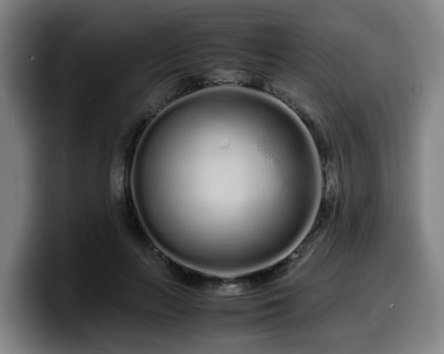 X0000099940647200805301218