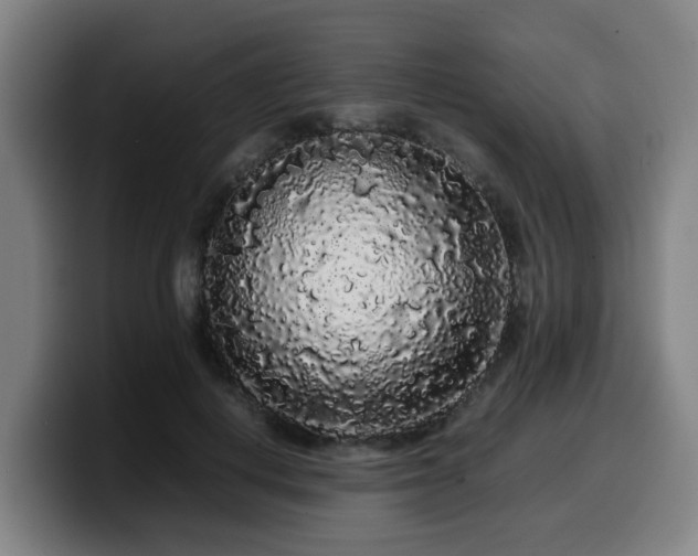 X0000099940648200805301218