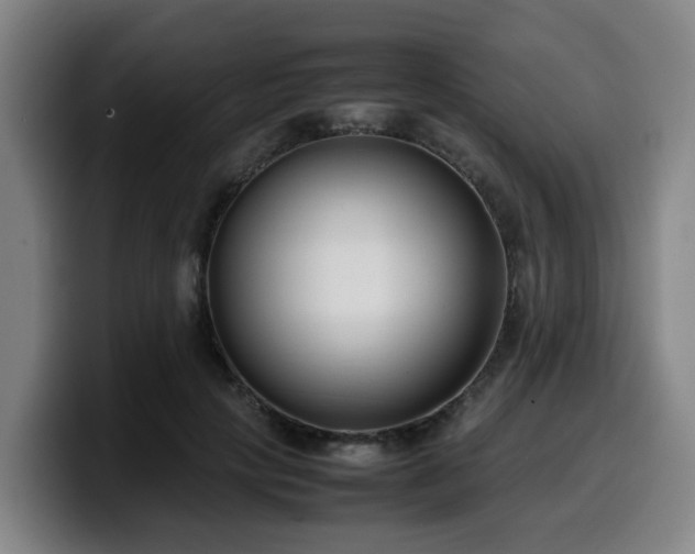X0000099940649200805301218