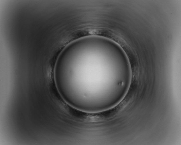 X0000099940650200805301218