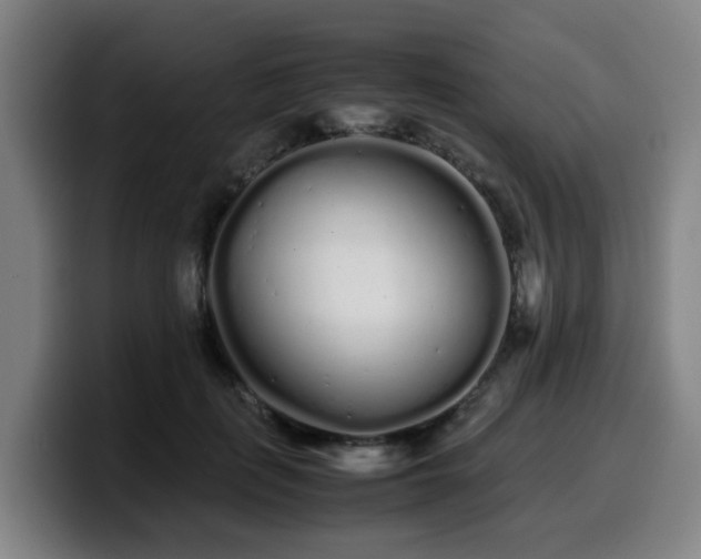 X0000099940651200805301218