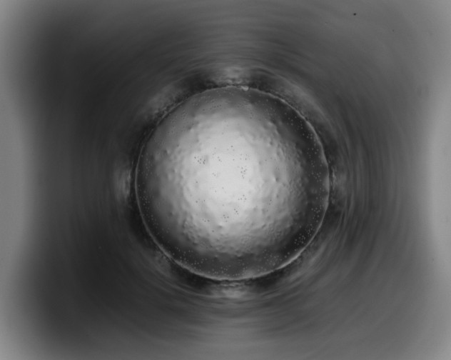 X0000099940652200805301218