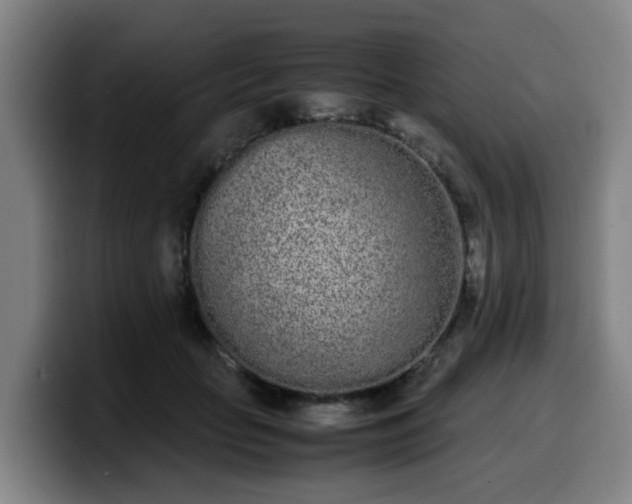 X0000099940653200805301218