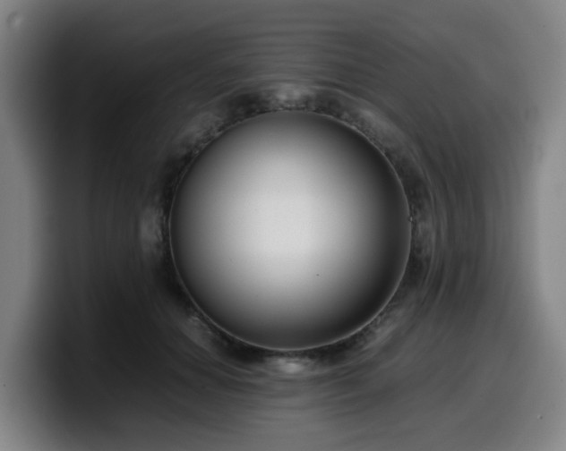 X0000099940654200805301218