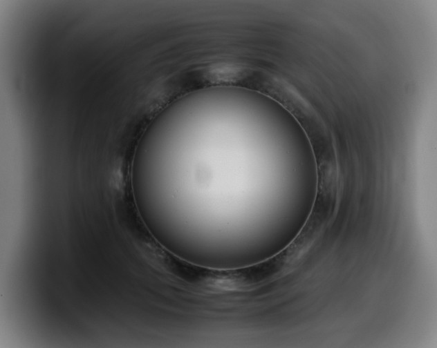 X0000099940655200805301218