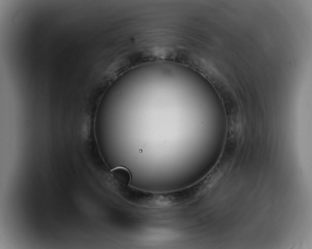 X0000099940656200805301218