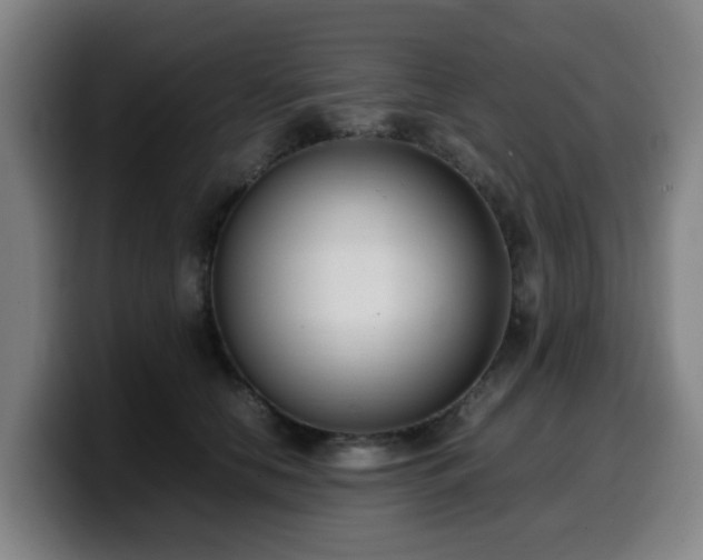 X0000099940658200805301218