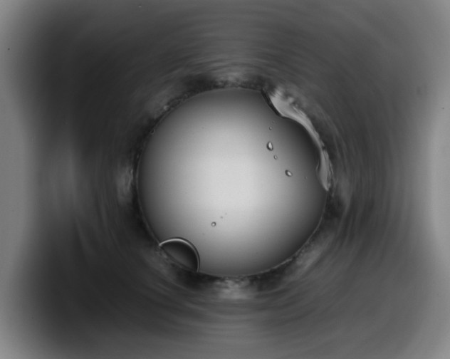 X0000099940660200805301218