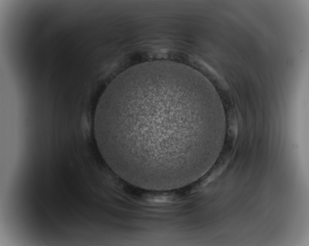 X0000099940661200805301218