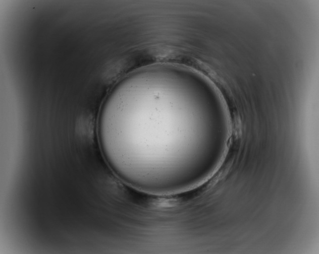X0000099940664200805301218