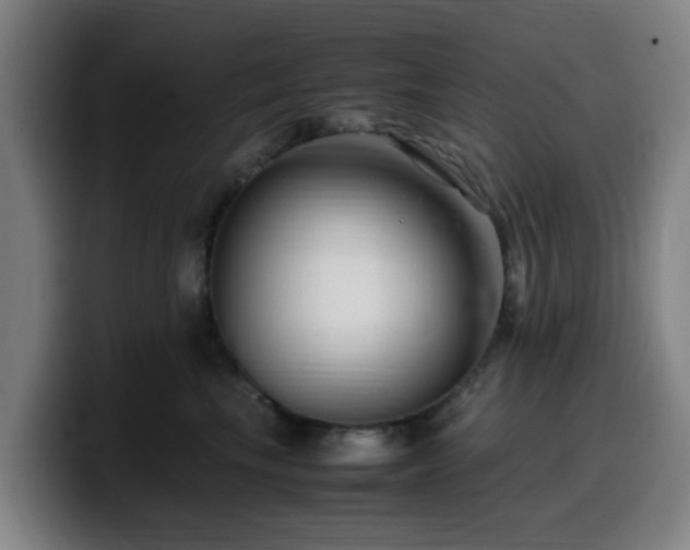 X0000099940665200805301218