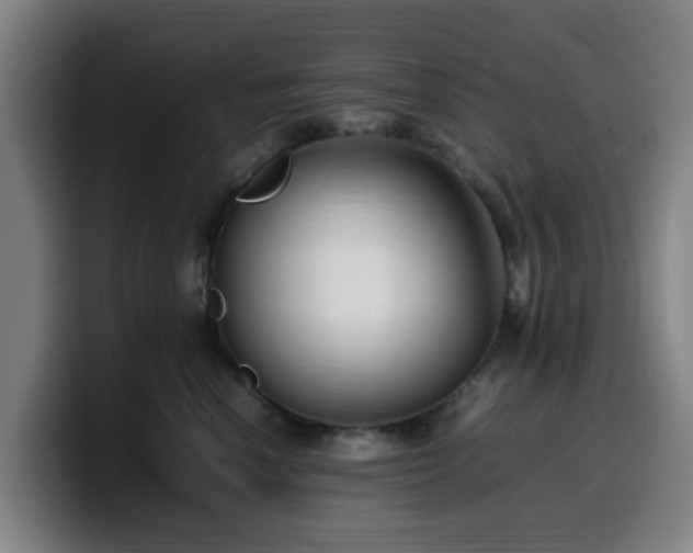 X0000099940666200805301218