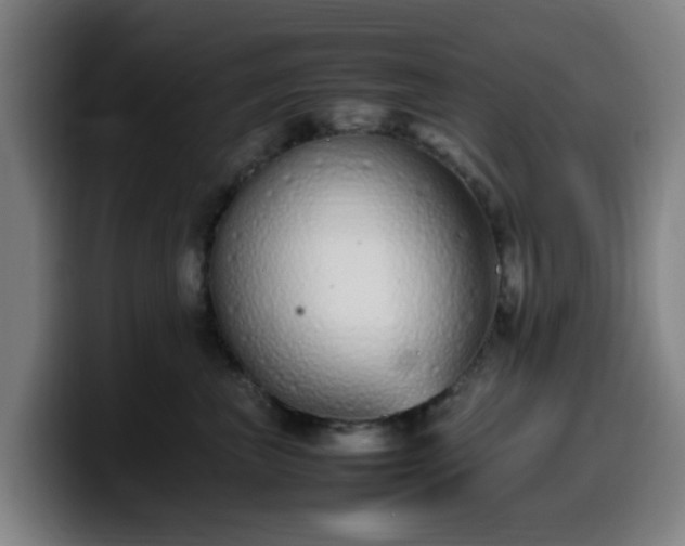 X0000099940667200805301218