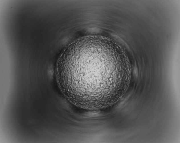 X0000099940668200805301218